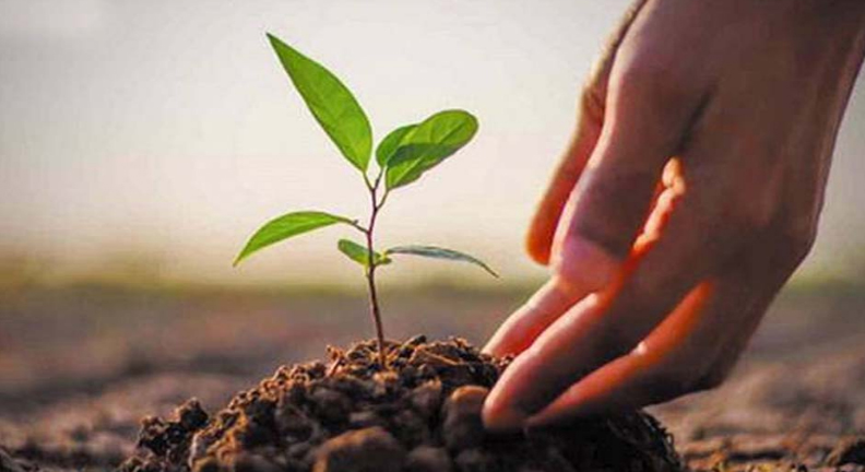 “एक पेड़ मां के नाम 2.0 अभियान में पेड़ लगाते बच्चे”