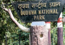 गैंडों के संरक्षण के लिए राइनो रिहैबिलिटेशन सेंटर