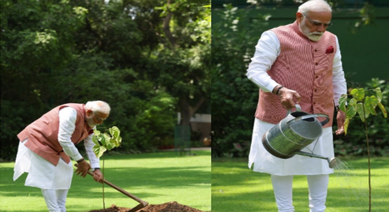प्रधानमंत्री मोदी द्वारा सिंदूर का पौधा रोपण करते हुए