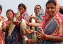 झारखंड की महिलाएं पेश कर रही हैं मत्स्य पालन में आत्मनिर्भरता की मिसाल, प्रधानमंत्री मत्स्य संपदा योजना