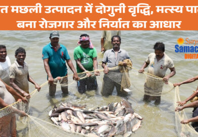 भारत में मछली उत्पादन 10 साल में दोगुना, मत्स्य पालन बना रोज़गार और आय का बड़ा स्रोत