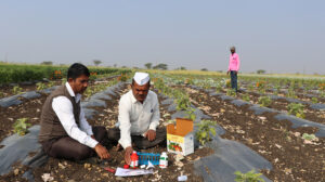 संतुलित उर्वरकों का उपयोग | मृदा स्वास्थ्य और टिकाऊ खेती की कुंजी