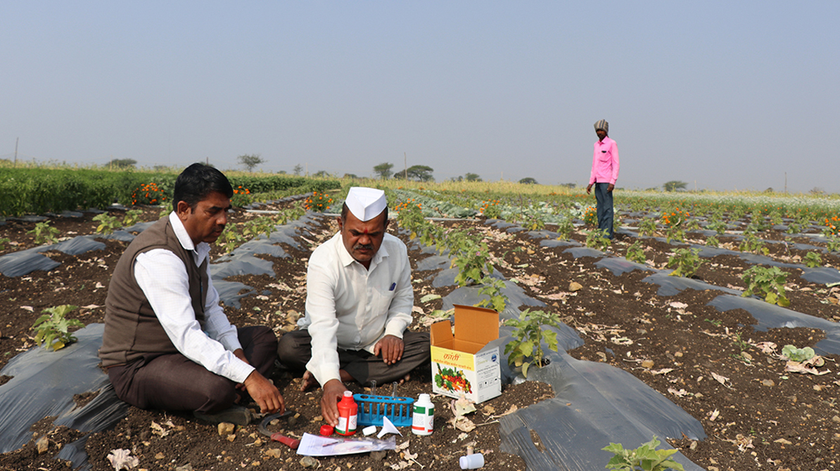 संतुलित उर्वरकों का उपयोग | मृदा स्वास्थ्य और टिकाऊ खेती की कुंजी