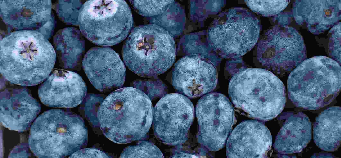 तस्वीर में स्ट्रॉबेरी, ब्लूबेरी, पालक, गाजर और ड्राई फ्रूट्स जैसे एंटीऑक्सिडेंट रिच फूड्स दिखाए गए हैं, जो हेल्दी डाइट का हिस्सा हैं।