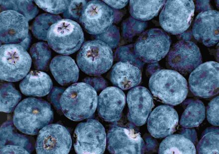 तस्वीर में स्ट्रॉबेरी, ब्लूबेरी, पालक, गाजर और ड्राई फ्रूट्स जैसे एंटीऑक्सिडेंट रिच फूड्स दिखाए गए हैं, जो हेल्दी डाइट का हिस्सा हैं।