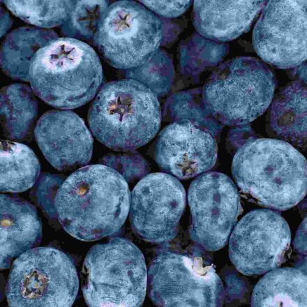 तस्वीर में स्ट्रॉबेरी, ब्लूबेरी, पालक, गाजर और ड्राई फ्रूट्स जैसे एंटीऑक्सिडेंट रिच फूड्स दिखाए गए हैं, जो हेल्दी डाइट का हिस्सा हैं।