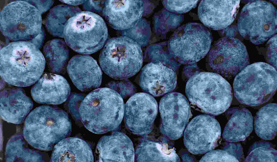 तस्वीर में स्ट्रॉबेरी, ब्लूबेरी, पालक, गाजर और ड्राई फ्रूट्स जैसे एंटीऑक्सिडेंट रिच फूड्स दिखाए गए हैं, जो हेल्दी डाइट का हिस्सा हैं।