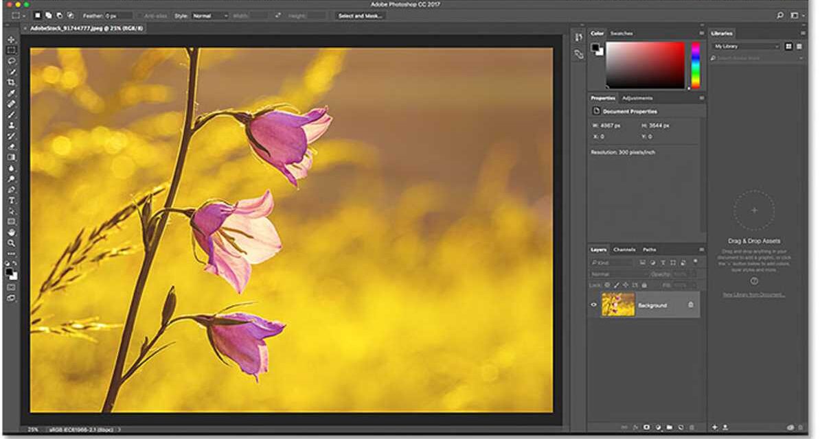 भारतीय छात्र कंप्यूटर लैब में Adobe Photoshop और Firefly का उपयोग करते हुए – AI Creative Tools Free Access पहल