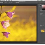 भारतीय छात्र कंप्यूटर लैब में Adobe Photoshop और Firefly का उपयोग करते हुए – AI Creative Tools Free Access पहल