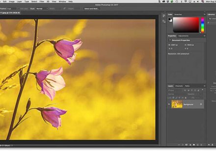 भारतीय छात्र कंप्यूटर लैब में Adobe Photoshop और Firefly का उपयोग करते हुए – AI Creative Tools Free Access पहल