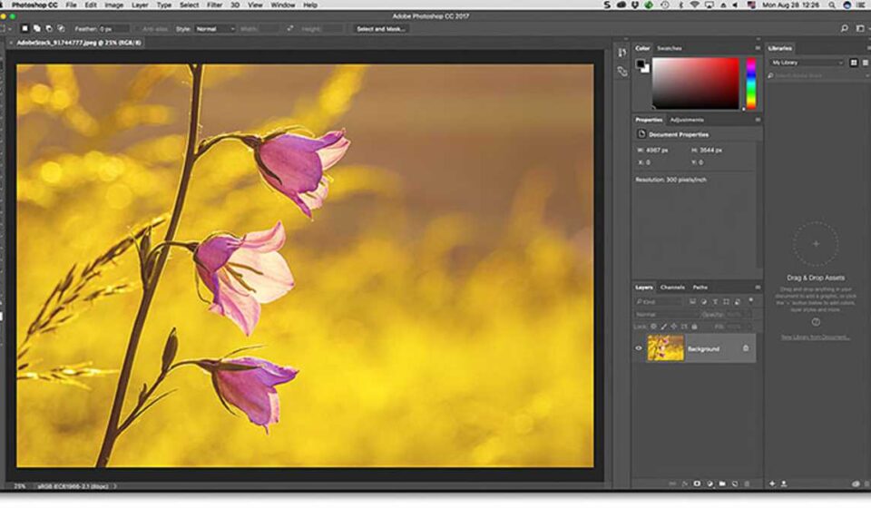भारतीय छात्र कंप्यूटर लैब में Adobe Photoshop और Firefly का उपयोग करते हुए – AI Creative Tools Free Access पहल