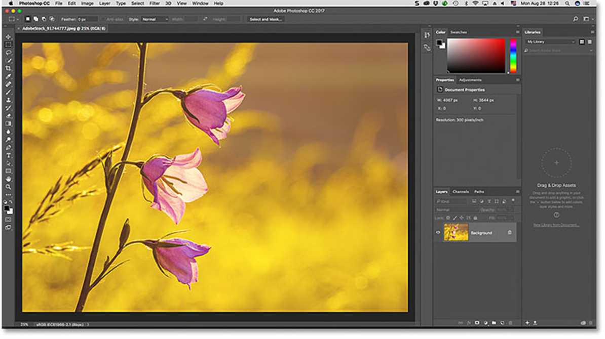 भारतीय छात्र कंप्यूटर लैब में Adobe Photoshop और Firefly का उपयोग करते हुए – AI Creative Tools Free Access पहल