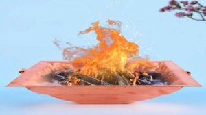 राम नवमी सत्संग में भक्ति और सेवा का अद्भुत संगम