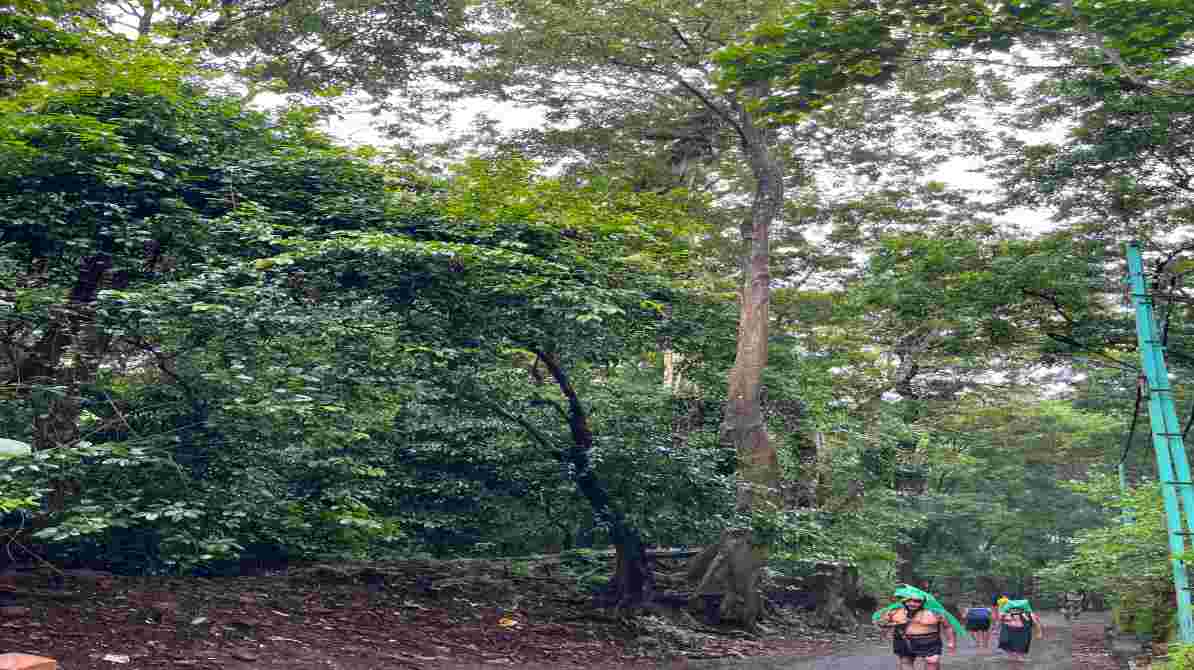 केरल स्थित सबरीमाला मंदिर और सुप्रीम कोर्ट की सुनवाई को दर्शाती प्रतीकात्मक तस्वीर