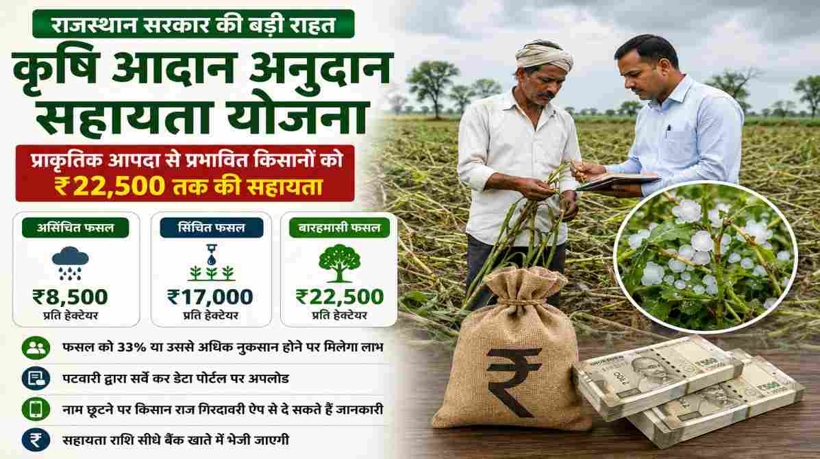 बारिश और ओलावृष्टि से खराब हुई फसल का निरीक्षण करते किसान और कृषि अधिकारी, कृषि आदान अनुदान सहायता योजना के तहत राहत सहायता दर्शाता दृश्य।