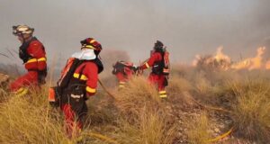 Spain Wildfire :- स्पेन में भीषण गर्मी के बीच जंगलों में लगी आग से 11 की मौत, 6 घायल; हजारों लोग सुरक्षित स्थानों पर पहुंचाए गए
