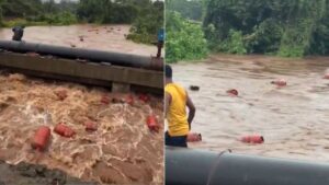 Maharashtra Rain :- महाराष्ट्र के रायगढ़ में बाढ़ का बड़ा असर, HPCL प्लांट से हजारों LPG सिलेंडर नदी में बहे; प्रशासन ने जारी की चेतावनी